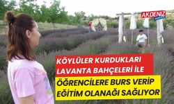 Köylüler kurdukları lavanta bahçesi ile öğrencilere burs verip yardım ediyor