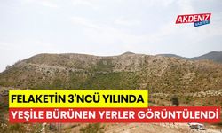 Felaketin 3'ncü yılında yeşile bürünen yerler görüntülendi