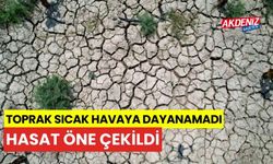 Sıcak hava toprağı çatlattı, hasat öne çekildi