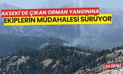 Akseki'de çıkan orman yangınına ekiplerin müdahalesi sürüyor