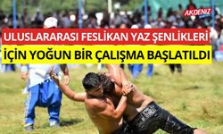 Uluslararası Feslikan Yaz Şenlikleri için yoğun bir çalışma başlatıldı