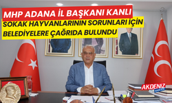 MHP Adana İl Başkanı Kanlı, sahipsiz hayvanları için belediyelere çağrıda bulundu