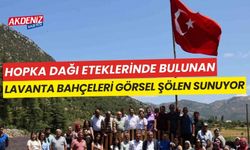 Hopka Dağı eteklerinde bulunan Lavanta bahçeleri görsel şölen sunuyor