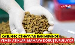 Kaşlı Geçici Hayvan Bakımevinde, yemek atıkları mamaya dönüştürülüyor