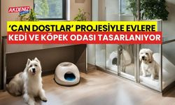 ‘Can Dostlar’ projesiyle evlerde kedi ve köpek odası tasarlıyorlar