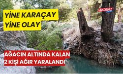 OSMANİYE'DE KARAÇAY'DA DEVRİLEN AĞICIN ALTINDA KALAN 2 KİŞİ AĞIR YARALANDI (video)