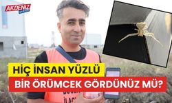 Hiç insan yüzlü bir örümcek gördünüz mü?