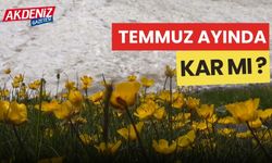 Temmuz ayında karla serinlediler (VİDEOLU)