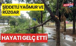 Adana'da Şiddetli yağmur ve rüzgar ağaçları kökünden söktü, vinci devirdi