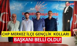 OSMANİYE CHP MERKEZ İLÇE GENÇLİK KOLLARI BAŞKANI BELLİ OLDU!