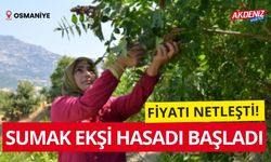 OSMANİYE'DE SUMAK EKŞİ HASADI BAŞLADI