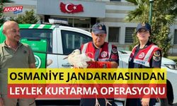 OSMANİYE'DE JANDARMADAN LEYLEK KURTARMA OPERASYONU