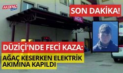 SON DAKİKA: DÜZİÇİ'NDE FECİ KAZA: AĞAÇ KESERKEN ELEKTRİK AKIMINA KAPILDI