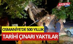 OSMANİYE'DE 500 YILLIK TARİHİ ÇINARI YAKTILAR