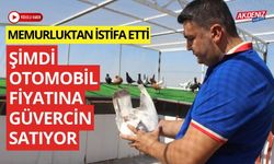 Memurluktan istifa etti, Otomobil Fiyatına Güvercin satıyor