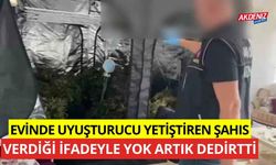 Evinde uyuşturucu yetiştiren şahıs verdiği ifadeyle yok artık dedirtti