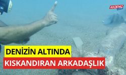 Denizin altında kıskandıran arkadaşlık