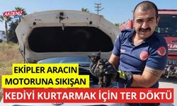 Ekipler kolları sıvadı, aracın motoruna sıkışan kediyi kurtarmak için ter döktüler