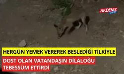 Bahçesine gelen tilkiyle dostluk kuran ev sahibinin diyaloğu tebessüm ettirdi