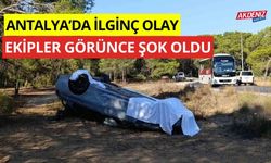 Antalya'da ilginç olay, ekipleri görünce şok oldu