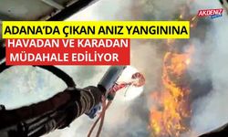 Adana'da çıkan anız yangınına havadan ve karadan müdahale sürüyor