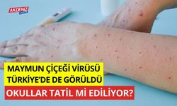 MAYMUN ÇİÇEĞİ VİRÜSÜ VAKALARI ARTIYOR! OKULLAR TATİL Mİ EDİLECEK?