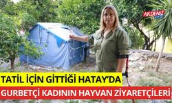 Tatil için gittiği Hatay'da, gurbetçi kadının hayvan ziyaretçileri