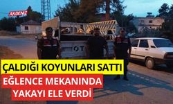 Çaldığı koyunları sattı, eğlence mekanında yakayı ele verdi