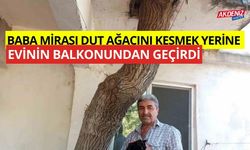 Baba mirası dut ağacını kesmek yerine balkonundan geçirdi