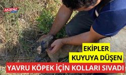 Ekipler kuyuya düşen yavru köpek için kolları sıvadı