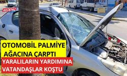 Otomobil palmiye ağacına çarptı, yaralıların yardımına vatandaşlar koştu