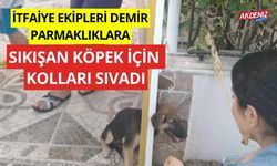 İtfaiye ekipleri demir korkuluklara sıkışan köpek için kolları sıvadı