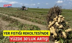 Yer Fıstığı'nın rekoltesinde yüzde 30'luk artış!