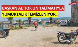 Başkan Altıok'un talimatıyla yumurtalık temizleniyor