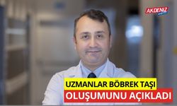 Uzmanlar böbrek taşı oluşumunu açıkladı