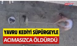 VİCDANSIZLIK: YAVRU KEDİYİ  SÜPÜRGEYLE ÖLDÜRDÜ