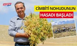 Cimbiti nohudunun hasadı başladı