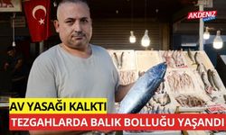 Av sezonu açıldı tezgahlarda balıklar doldu taştı