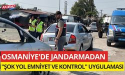 OSMANİYE'DE JANDARMADAN "ŞOK YOL EMNİYET VE KONTROL" UYGULAMASI