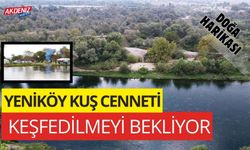 OSMANİYE YENİKÖY KUŞ CENNETİ KEŞFEDİLMEYİ BEKLİYOR