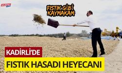 KADİRLİ'DE HASAT HEYECANI