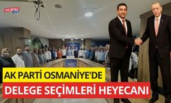 AK PARTİ OSMANİYE'DE DELEGE SEÇİMLERİ HEYECANI