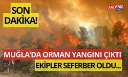 SON DAKİKA: MUĞLA'DA ORMAN YANGINI!