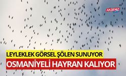 OSMANİYE SEMALARI, LEYLEK GÖÇÜNE ŞAHİT OLUYOR