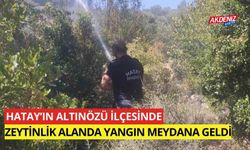 Hatay'ın Altınözü ilçesinde zeytinlik yangını meydana geldi