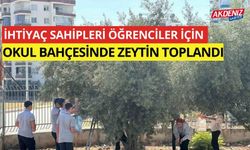 İhtiyaç sahipleri öğrenciler için okul bahçesinde zeytin toplandı