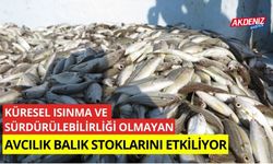 Küresel ısınma ve sürdürülebilirliği olmayan avcılık balık stoklarını olumsuz etkiliyor