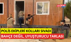 Polis ekiplerinden operasyon Bahçe değil,  uyuşturucu tarlası!