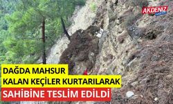 Mahsur kalan keçiler kurtarılarak sahibine teslim edildi