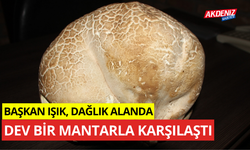 Başkan Işık, dağlık alanda dev bir mantarla karşılaştı